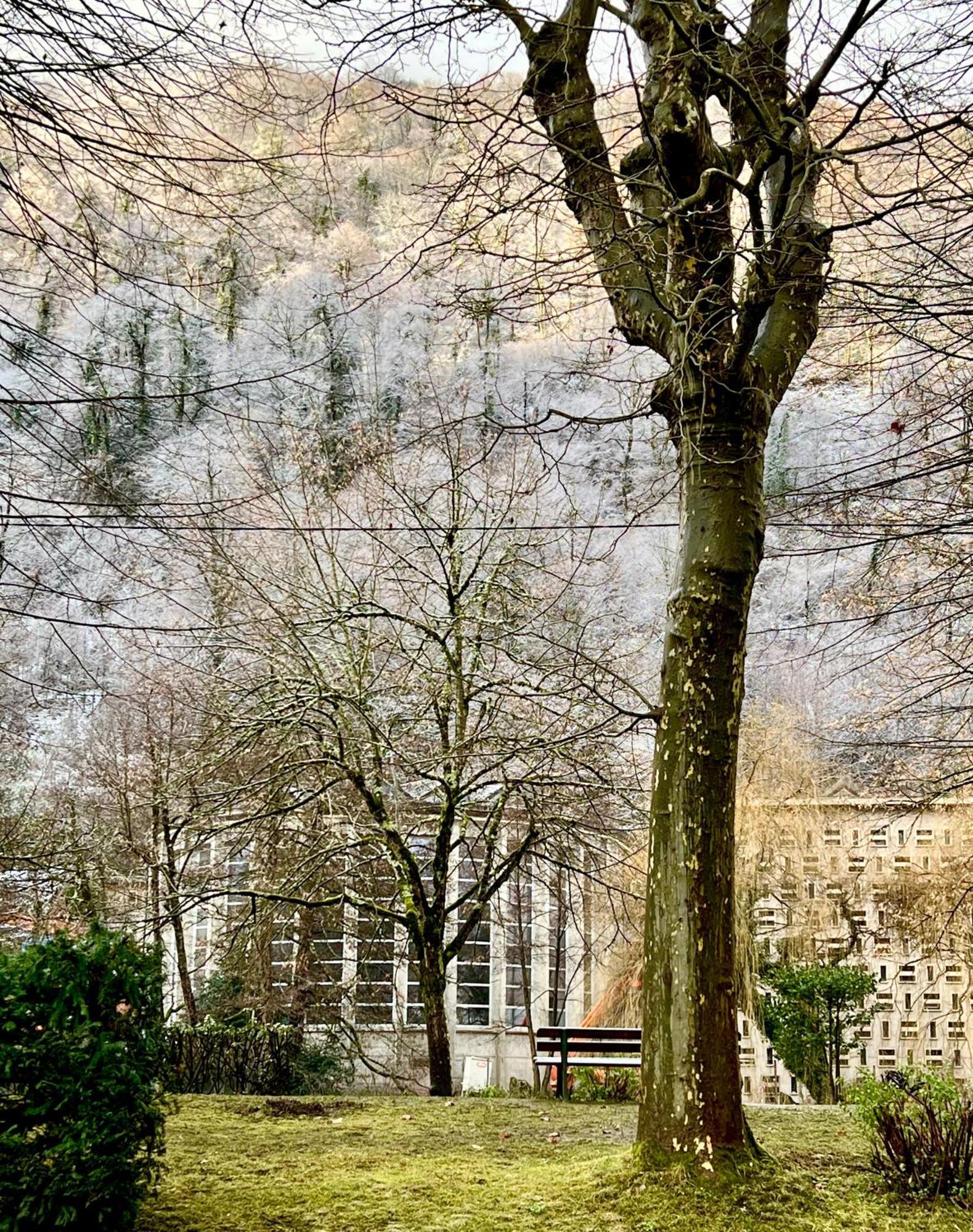 Fantastic Ground Floor Apartment Opposite Thermes Bagnères-de-Luchon Zewnętrze zdjęcie